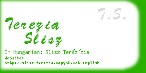 terezia slisz business card